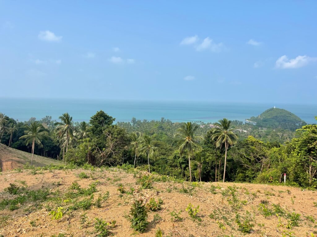 WhatsApp Image 2025-10-30 à 08.23.04_a7ce55b7